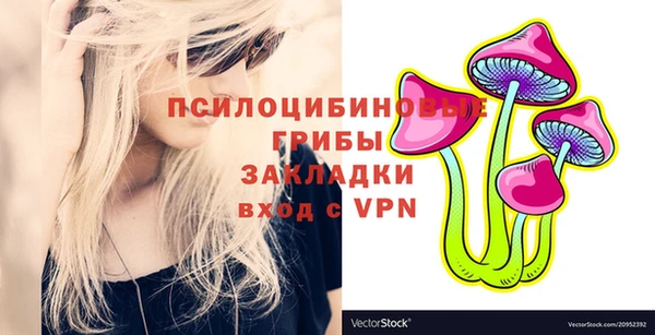 шишки Абдулино