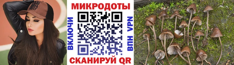 Галлюциногенные грибы Psilocybe  даркнет сайт  omg рабочий сайт  Алексеевка 